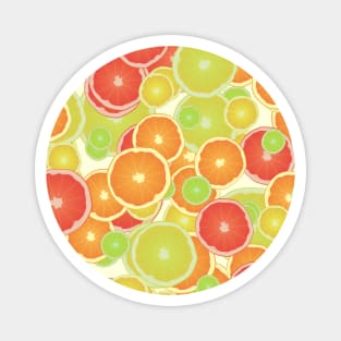 Citrus Fruit Party - Oranges, Lemons, Grapefruits Magnet